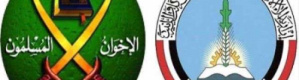 "التصنيف الأمريكي يكشف حقيقة الإصلاح".. الجروي: نهج إقصاء وترهيب ثابت