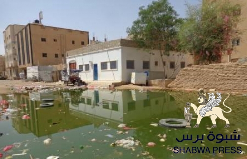 البعوض في شبوة .. والأوبئة في انتشار متواصل 