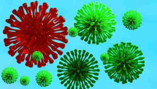 تسجيل 16 حالة إصابة جديدة بفيروس كورونا في عدن ولحج بينها ثلاث وفيات