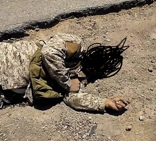 الكشف بالأرقام على عدد جثث ميليشيا الإخوان الإرهابية التي وصلت مديرية لودر