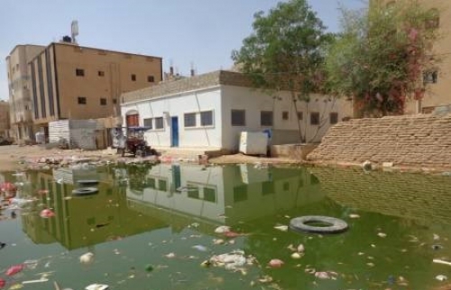 الانتقالي يطالب بتحرك دولي عاجل لإنقاذ الجنوب من الأوبئة