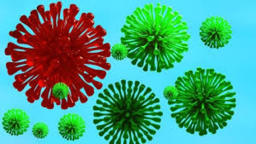 إرتفاع عدد حالات إصابات كورونا إلى 222 والوفيات الى 42 شخصاً