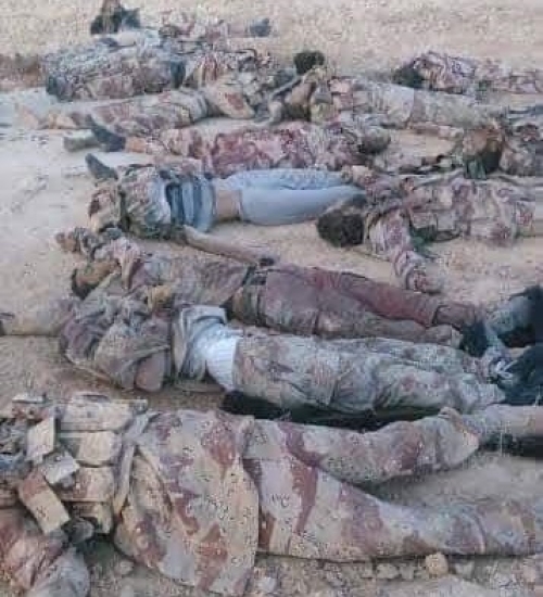 في شقرة الوحدة تغلق مصنع التونة والجيش الجنوبي يحولها إلى مصنع لتعليب الإخوان 
