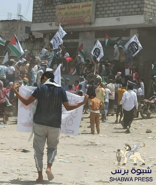 سياسي جنوبي: تنظيم القاعدة يقيم احتفال في مسقط رأس هادي بتكليف وحراسة نائبة الأحمر