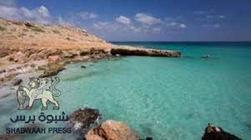 سياسي جنوبي: لا يحق لليمنيين الحديث عن جزيرة ميون الجنوبية وتناسي شرف نسائهم في صنعاء