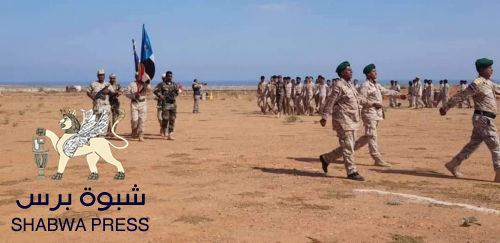 إخوان المسلمين يتوسلون الحوثي لضرب قوات الجنوب والتحالف في ميون