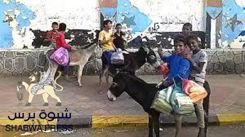 عدن ليست قرية للحمير اليمنية