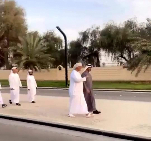 فيديو بن زايد والزبيدي.. صدفة أم رسالة سياسية 