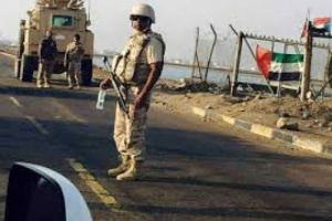 مايكل نايتس يكشف لـ«العين الإخبارية».. كيف دحرت الإمارات «القاعدة» باليمن؟
