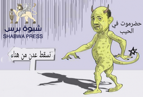 الدور الخبيث والحقير الذي يقوم به رشاد العليمي ضد الجنوب