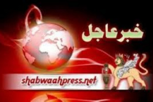 عاجل: قوات العمالقة تقضي على مجموعة حوثية في أطرف مأرب اليمنية 