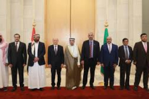 مجلس الـ 8 أفضل وصفة للفشل والأزمات المستدامة 