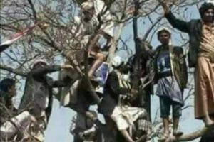 نحتفل بأيه يا كوم الغباء.. شلكم ذي شل عادٍ وسبأ