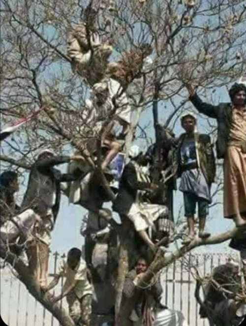 نحتفل بأيه يا كوم الغباء.. شلكم ذي شل عادٍ وسبأ