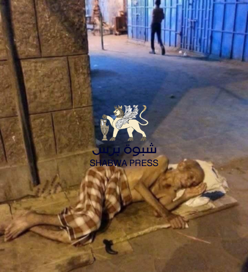 عدن تنزف وتُباد تحت سلطة محتل ومؤسسة الفساد