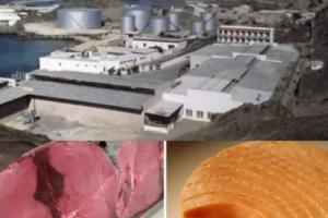 سلاطين الجنوب والحرص على توفير الغذاء الرخيص للمواطنين (القعيطي نموذجا)