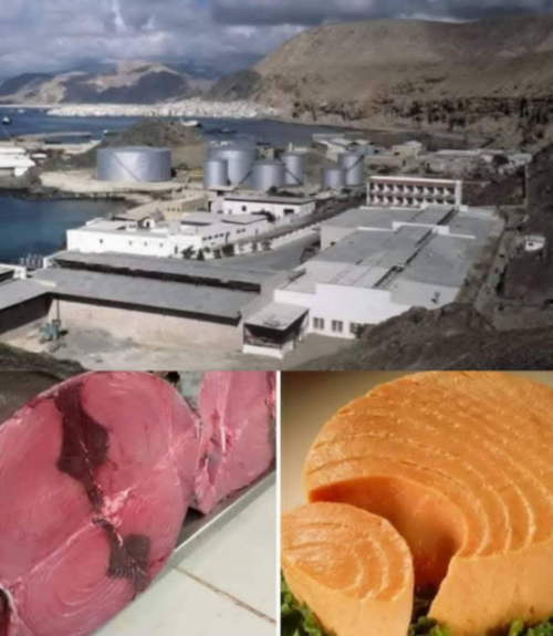 سلاطين الجنوب والحرص على توفير الغذاء الرخيص للمواطنين (القعيطي نموذجا)