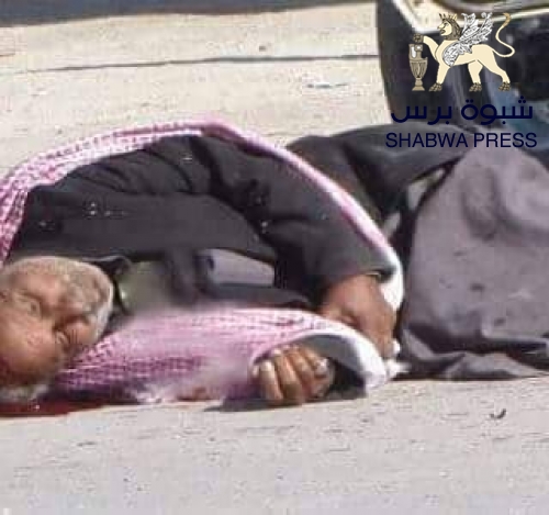 #بن حبريش والرهان على جواد خاسر .. تحرير الوادي أولى من حماية أمن عدن 