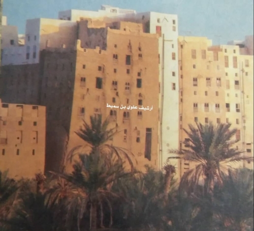 شبام : أكثر من (٢٠) منزل خرابة يهدد المارة والبيوت المجاورة