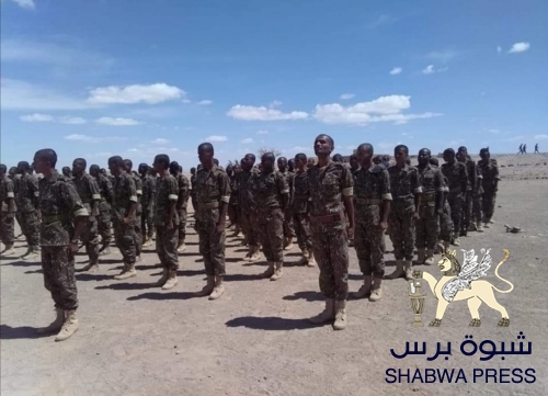 تمهيداً للزج بهم في جبهات القتال.. الإخوان يجندون عشرات المهمشين في شبوة