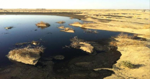 كارثة بيئية: شركة النفط بشبوة تفرغ كميات من الديزل على شواطىء رضوم