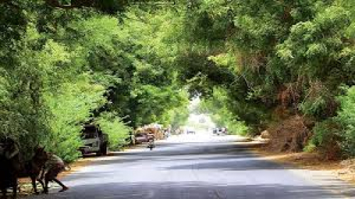 مخاطبا أبناء أبين..العميد المحوري: حان الوقت لتطهير المحافظة من الإرهاب والعصابات