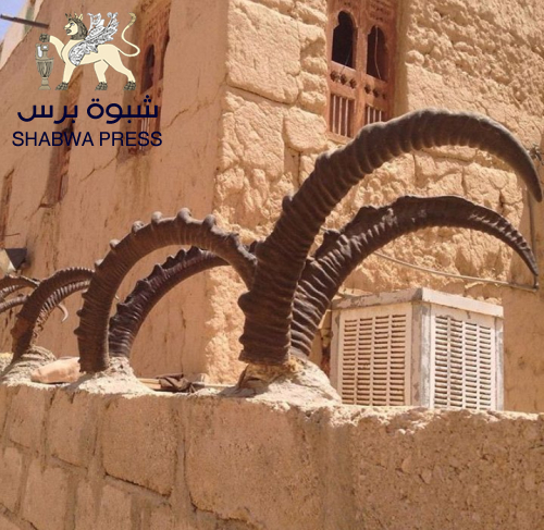 فيلم سبأ وحضرموت وحضارم أحمر صنعاء.