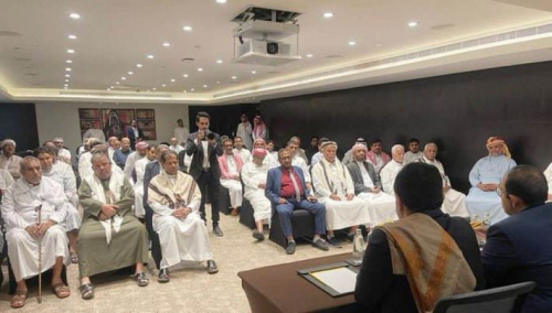 المجلس الحضرمي يتوحم من تلقيح صناعي في رحم مستأجر