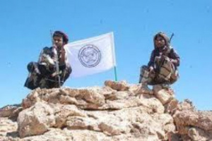 تحت غطاء الحريات.. حلف الهضبة في مواجهة القانون وغضب الرأي العام