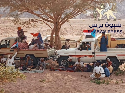 المقاومة الجنوبية بشبوه تنتشر في الشريط الصحراوي لتأمينه من غزو مأرب 