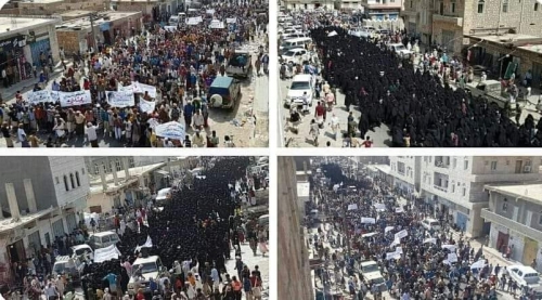 كل سقطرى ترفضهم وتلفظهم  ... نكزة للسلامي ولزرق 