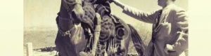 من أعلام الجنوب العربي : أمير الضالع شعفل بن علي شايف