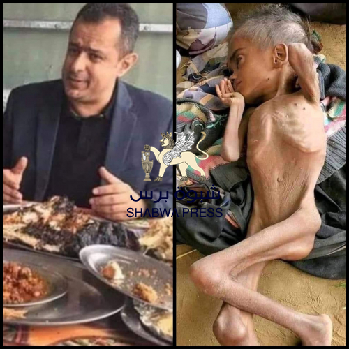 من أجل تنغيص حياة المواطنين.. معين يلطش 423 مليون دور 
