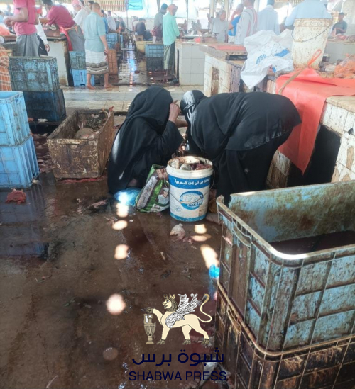 بن ماضي ينفق الأموال على رنا وماريا.. ونساء المكلا يبحثن عن رؤوس الأسماك (خصار)