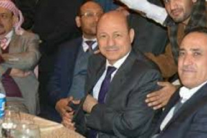 الحوثي أفضل وأشجع منهم.. حكام الشرعية في عدن مجموعة جبناء 