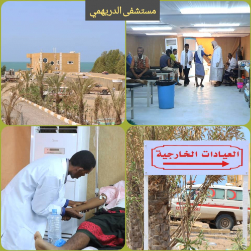 بالأرقام منجزات ومبادرات إنسانية رائدة لدولة الإمارات في القطاع الصحي بالساحل الغربي