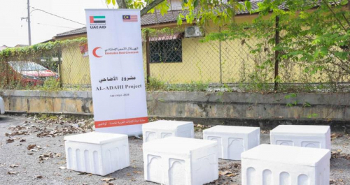 سقطرى وخيرُ الإمارات المكثف .. غوثٌ يقهر إهمال الشرعية المتعمّد