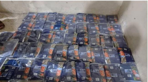 مليشيا الشرعية تشن حرب الإرهاب والمخدرات على الجنوب .. ضبط 48 كيلو حشيش في دوفس بأبين 