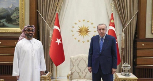 الرئيس التركي يستقبل وفدا إماراتيا برئاسة طحنون.. وقرقاش يصفه بالإيجابي