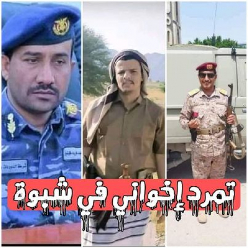 "فتنة شبوة".. تمرد إخواني مع سبق الإصرار والترصد