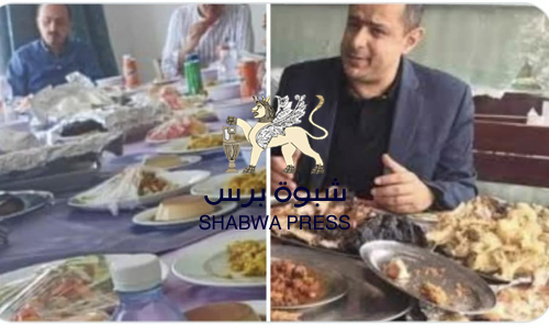 الوديعة السعودية لنشر الفساد أم لتحسين الخدمات في الجنوب؟