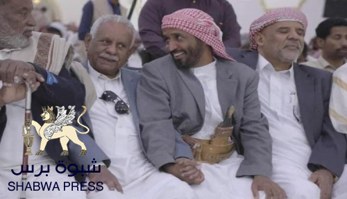 محلل سياسي: مجلس باعوجا وبقية المكونات الجنوبية مهمتها التبصيم على الاستسلام للحوثي 