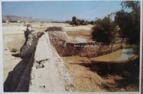 عجيبة شبام الهندسية الزراعية المشاد بها دوليا 