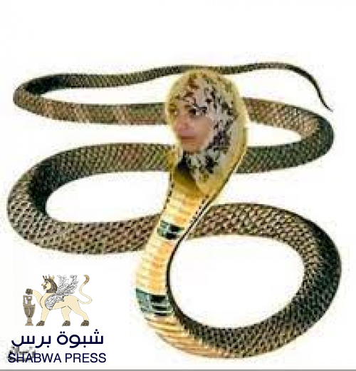 الجنوب يشهد حملة تشويه ممنهجة تقودها أفاعي سامة. 