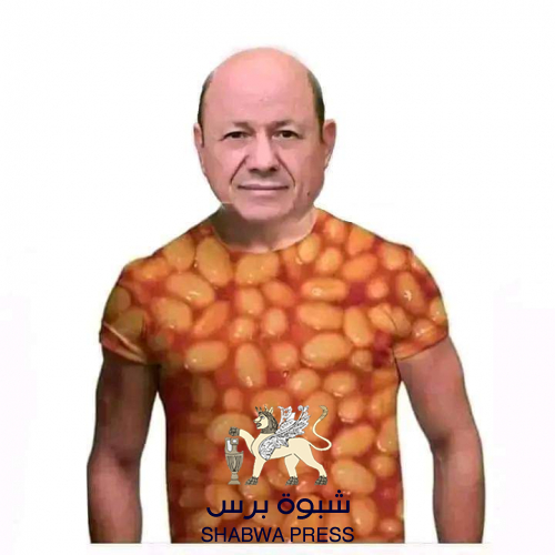 محلل سياسي: رئيس وحكومة بعقليات جمعية خيرية للروتي والفاصوليا