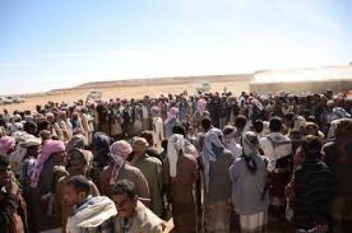 "باتيس" يخاطب حضارم الهضبة.. أضعتموها عام 67 فلا تكرروها اليوم