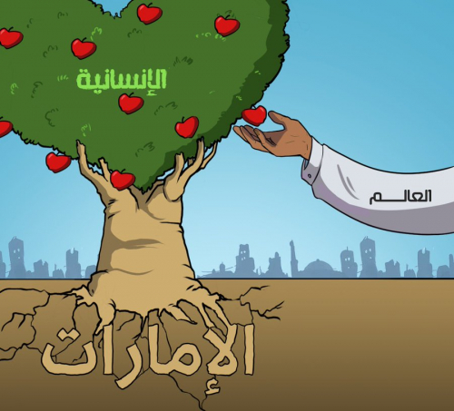 الإمارات تداوي أمراض شبوة طبيا.. منحة إماراتية لتجهيزات متطورة