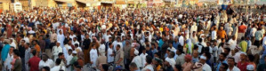 لا للمنطقة العسكرية الاولى ولا للكلاب الحمر و للجرو الرضيع من ثديها