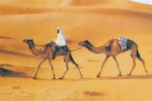 العرب طوال تأريخهم لم يحكموا أنفسهم إلآ قرنين بعد الإسلام