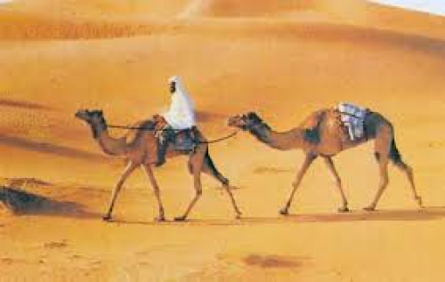 العرب طوال تأريخهم لم يحكموا أنفسهم إلآ قرنين بعد الإسلام